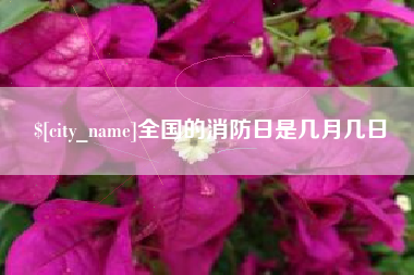 温州全国的消防日是几月几日