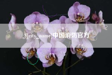 温州中国消防官方