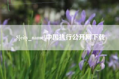 温州中国执行公开网下载