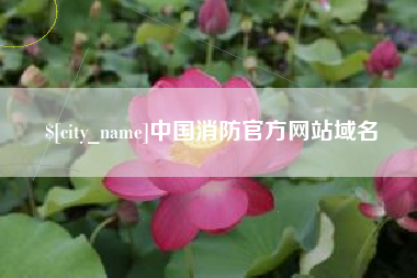 温州中国消防官方网站域名