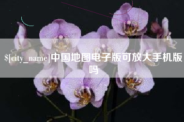 温州中国地图电子版可放大手机版吗