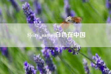 温州白色在中国