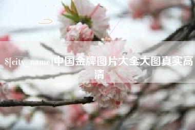 温州中国金牌图片大全大图真实高清