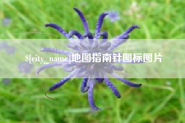 温州地图指南针图标图片