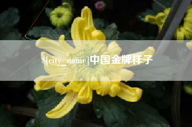 温州中国金牌样子