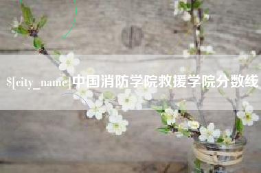 温州中国消防学院救援学院分数线