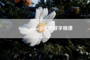温州9宫格数字规律