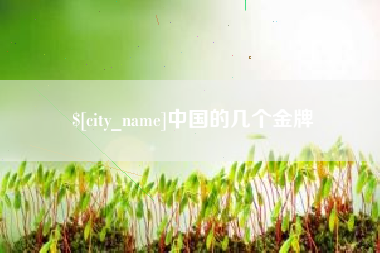 温州中国的几个金牌
