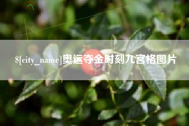温州奥运夺金时刻九宫格图片