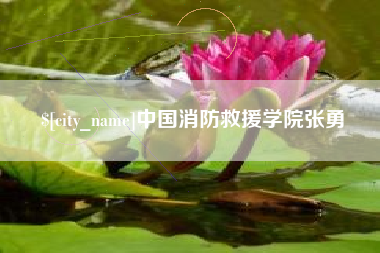 温州中国消防救援学院张勇