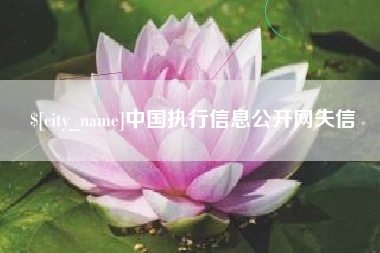 温州中国执行信息公开网失信