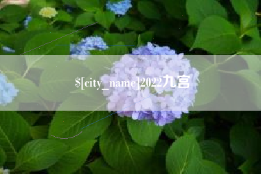 温州2022九宫
