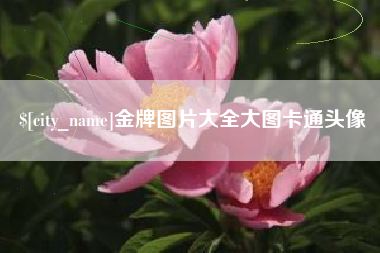 温州金牌图片大全大图卡通头像