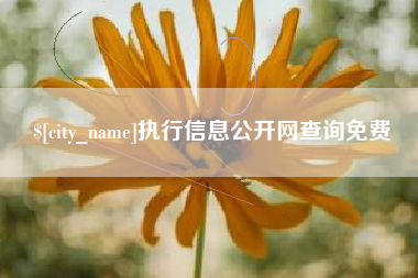 温州执行信息公开网查询免费
