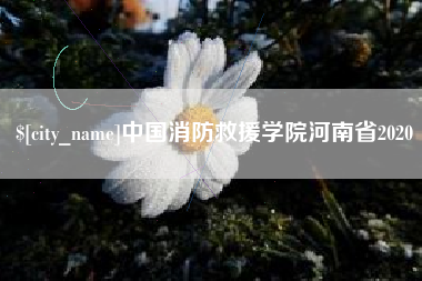 温州中国消防救援学院河南省2020